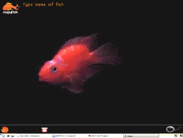 HP's MOPy Fish screensaver - an example of 'persuasive technology'