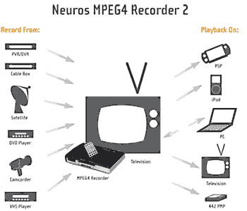 Neuros diagram